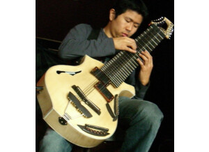 warr guitar3