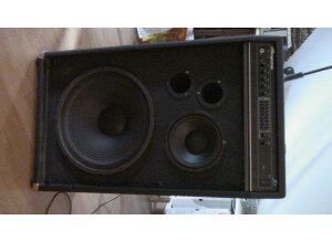 Ampeg B-3158 (23711)