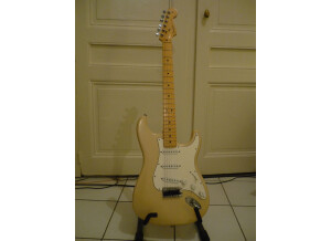 Fender stratocaster highway one
