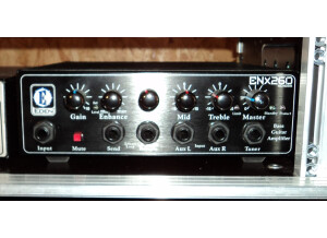Eden Bass Amplification ENX260 (35550)
