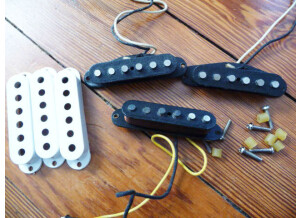 Fender Texas Special Custom Shop