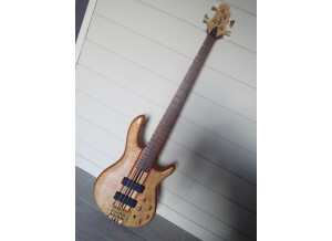 Fender FSR 2012 American Standard Hand Stained Ash Precision Bass (92870)