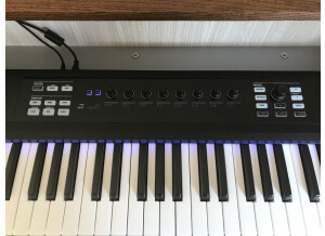Native Instruments Komplete Kontrol S49 (25808)