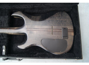 10 Dos étui zoomé plus.JPG