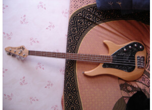 Vigier Excess I (59973)