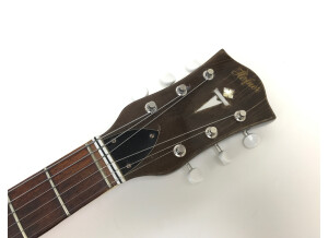 Hofner Guitars Verythin 4575