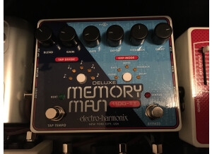 Electro-Harmonix Deluxe Memory Man 1100-TT (59948)