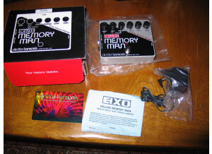 Electro-Harmonix Deluxe Memory Man (New 2009 Design)
