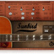 Sunbird Sunbird
