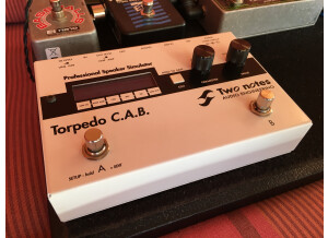 Two Notes Audio Engineering Torpedo C.A.B. (Cabinets in A Box) (93837)