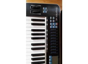 Samson Technologies Graphite 49 (2973)