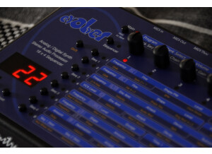 Dave Smith Instruments Evolver (57875)