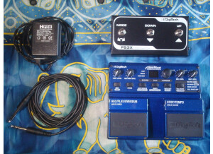 DigiTech JamMan (98488)