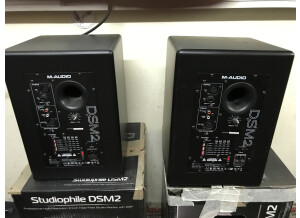 M-Audio DSM2