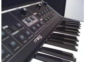 Moog Music Little Phatty Stage II (78473)