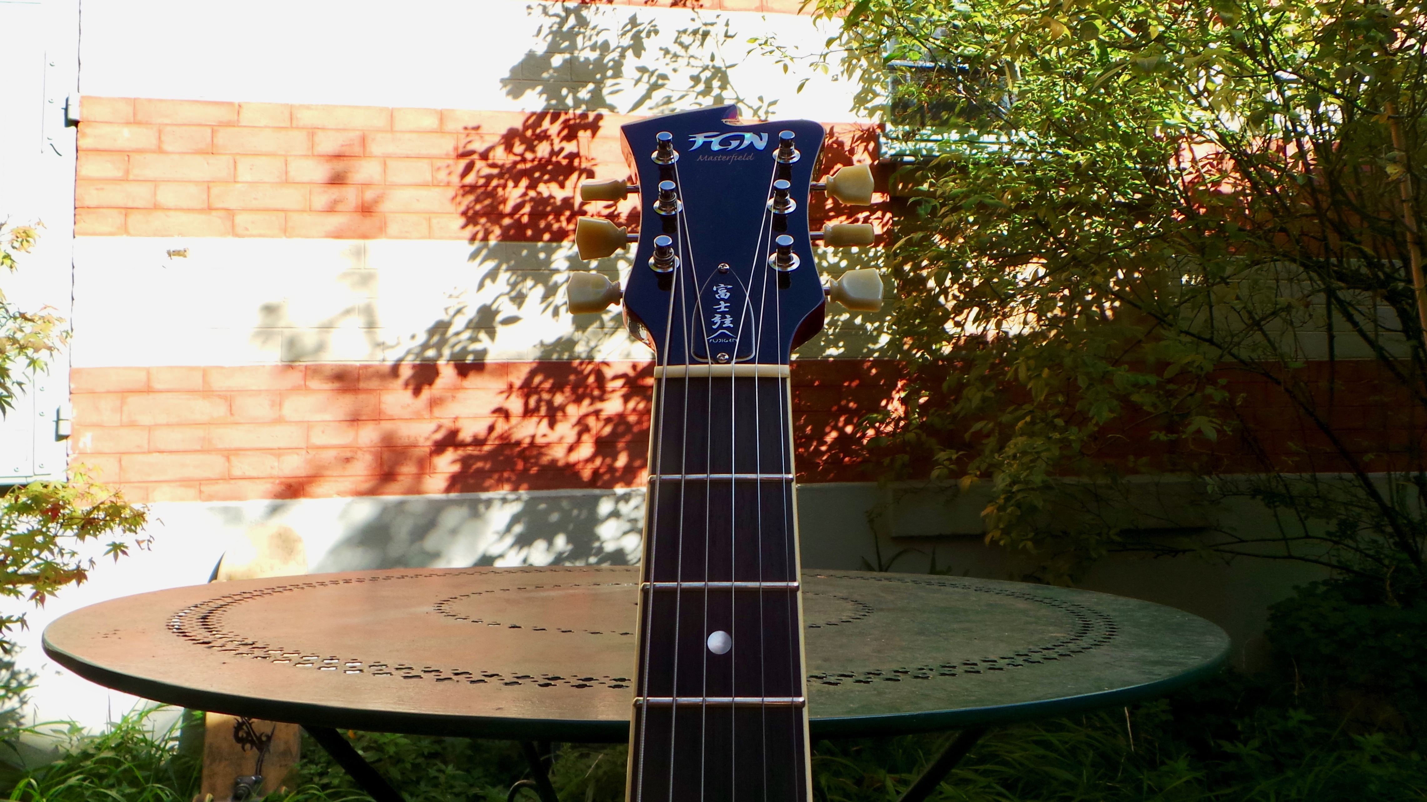 FGN Masterfield MSA-HP : FGN Masterfield MSA-HP (2819)