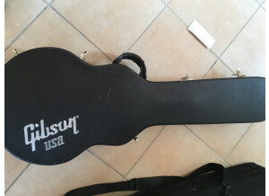 Custom Audio Electronics OD 100 se+ (71397)