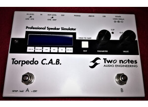 Two Notes Audio Engineering Torpedo C.A.B. (Cabinets in A Box) (75904)