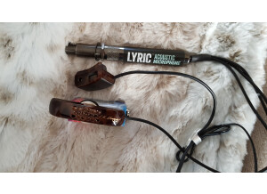 L.R. Baggs Lyric (40429)