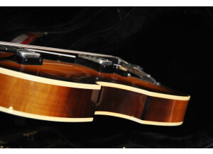 Fender American Standard Stratocaster [1986-2000] (15667)