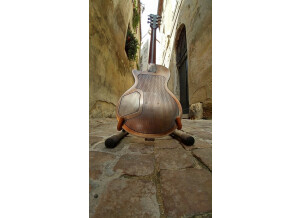 22489807 10214942639306043 6794412264386234077 n