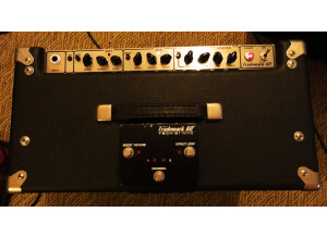 Tech 21 Trademark 60 1x12 (37883)