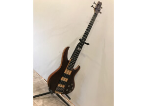 VGS Cobra Bass Select