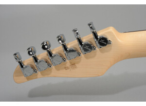 Tom Anderson hollow classic T (72763)