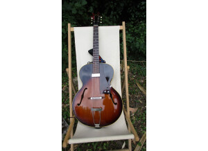 Gibson L-48 (17101)