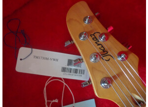 Ibanez TM1730 & TM1730M (2255)