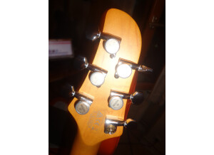 Ibanez TM1730 & TM1730M (22985)