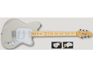 Ibanez TM1730 & TM1730M (34853)