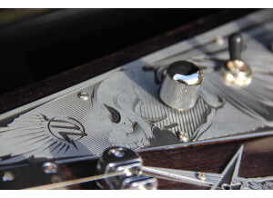 Wild Customs The Illuminat'V (14828)