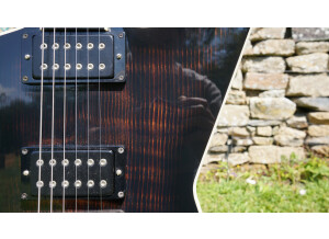Dean Guitars 30th Anniversary ML (3137)