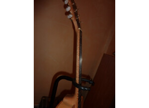 P1040829 (Copier).JPG