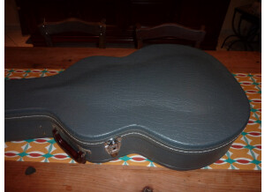 P1040832 (Copier).JPG