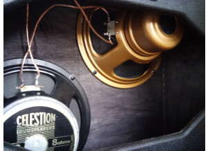 Bogner Alchemist 212V Extension Cabinet (56968)