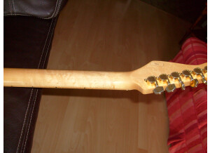 S7300590.JPG