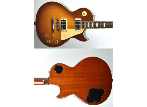 Gibson Les Paul Standard (48035)