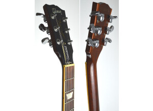 Gibson Les Paul Standard (89395)