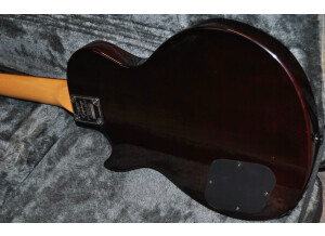 Epiphone Les Paul Special Bass [1998-2002]