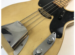 Fender Telecaster Bass [1968-1971] (33060)