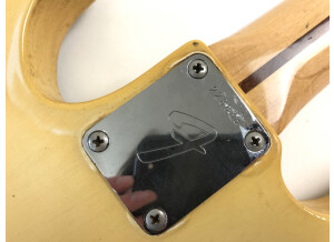 Fender Telecaster Bass [1968-1971] (75727)