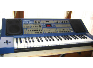 Roland EG-101 (67512)