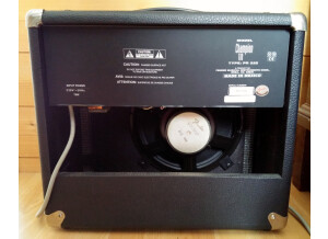 Fender Champion 110 (88383)
