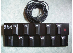 Roland FC-100 (69251)