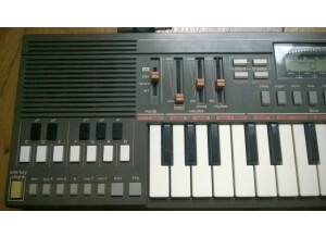 Casio PT-31 (94772)