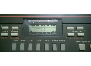 Casio PT-31 (8496)