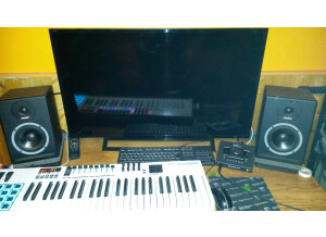 Epiphone Prophecy Les Paul Custom EX (4143)