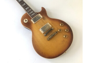 Gibson Les Paul Deluxe (1976) (22719)